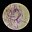 Meg Smythe's avatar