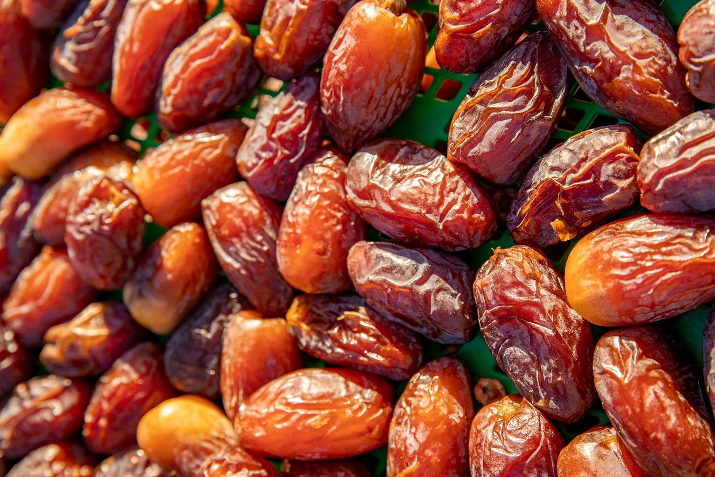 Arizona grown medjool dates