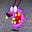 Neejo the Boss's avatar