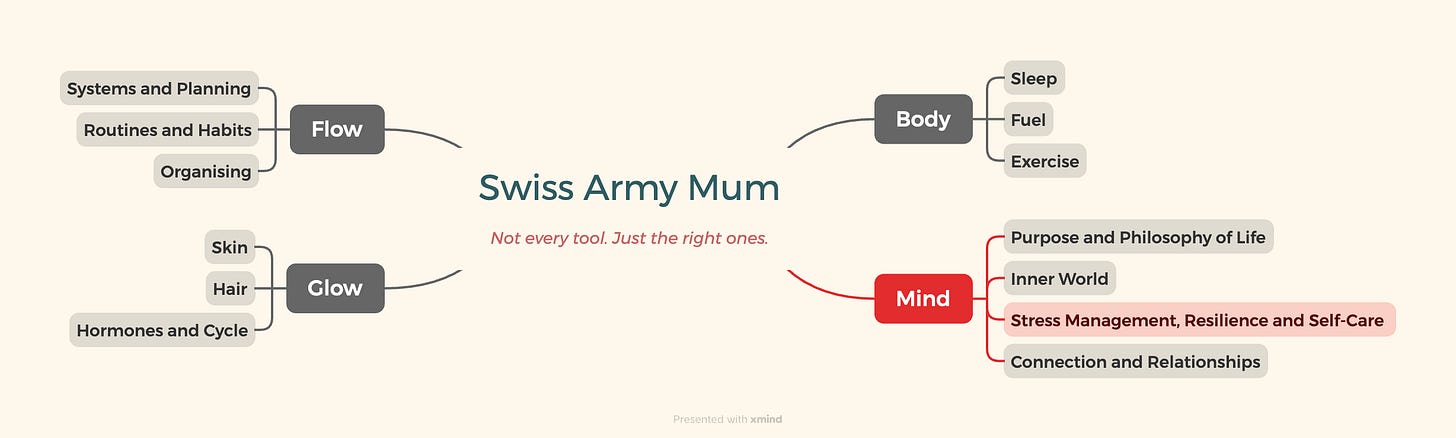 SAM Mind Pillar mindmap with the Stress Management, Resilience and Self-Care area highlighted; this book club post is a companion to the area.