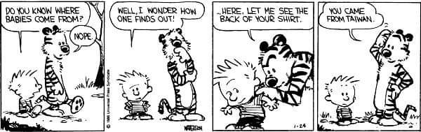 r/calvinandhobbes - Do you know where babies come from?