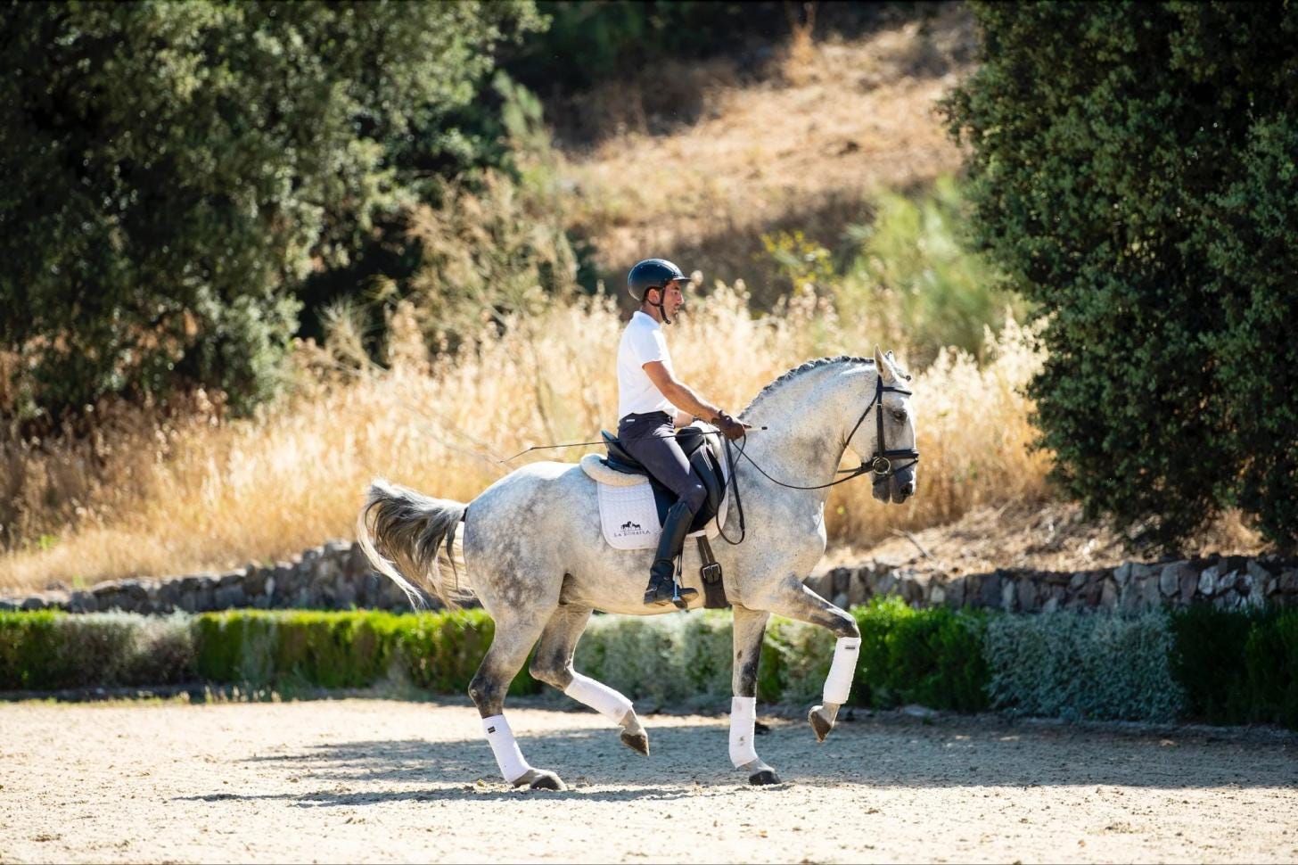 Rider training a Lusitano horse at La Donaira in Andalusia, Spain Rider training a Lusitano horse at La Donaira in Andalusia, Spain