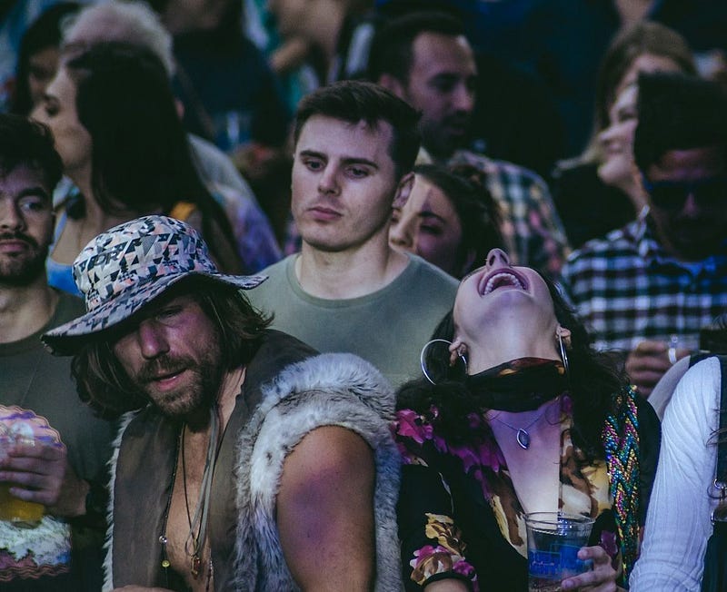A crowd of concert attendees.