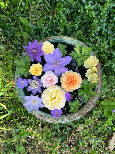 Zéphirine Drouhin, Benjamin Britten, Duc de Cambridge, Carefree Beauty, Grace, floating roses