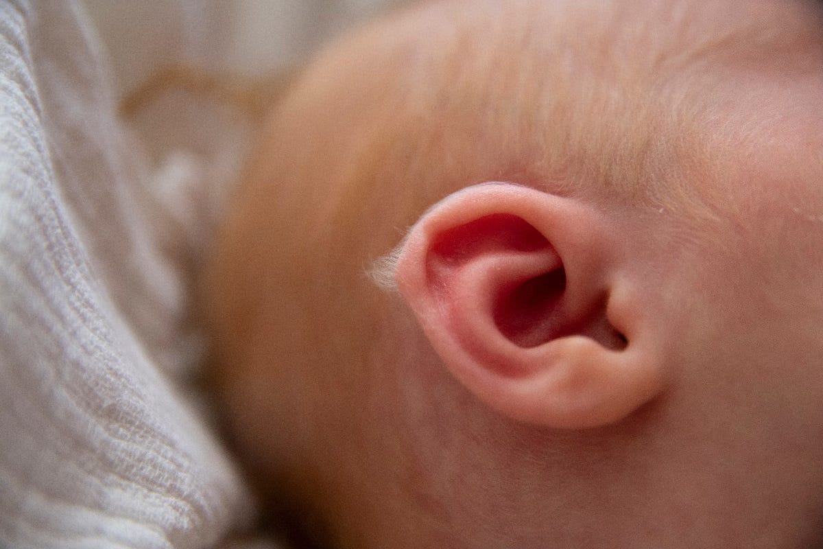 Newborn baby lanugo hair on the ear