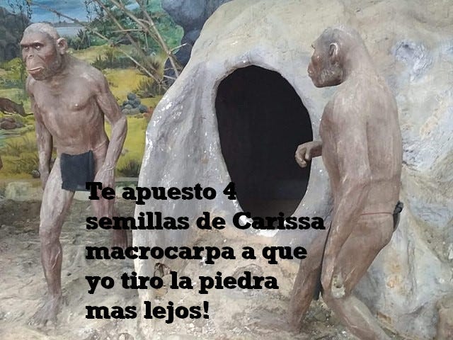 Homo Sapiens inventando los juegos de habilidad. Imagen original Wikimedia Commons.
