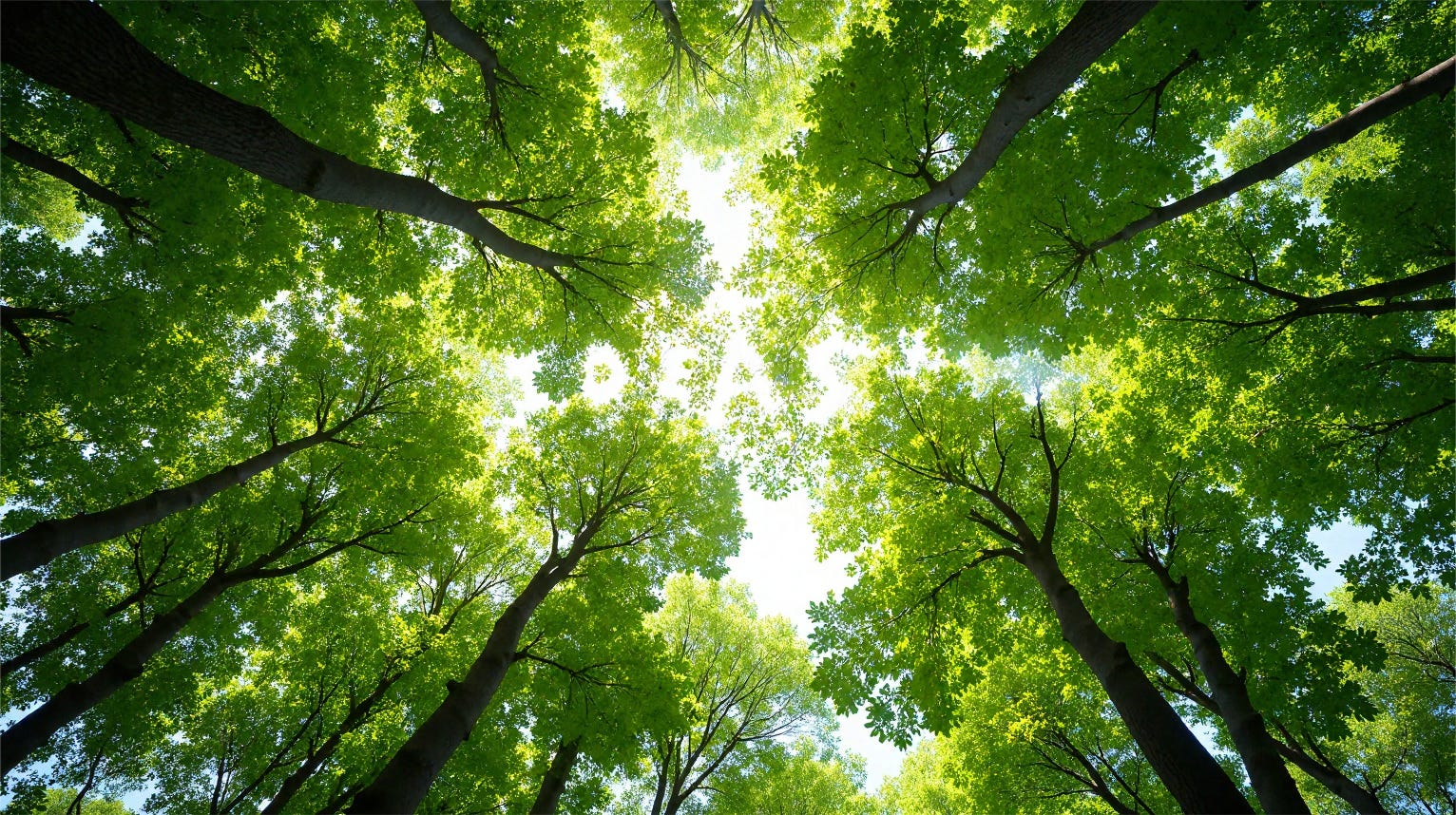 Patterns and connections