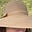 Carol Allen's avatar