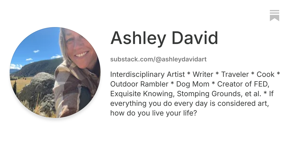 Ashley David | Substack