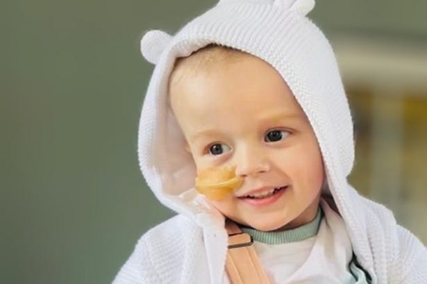 Two-year-old Éanna Starken Two-year-old Éanna Starken