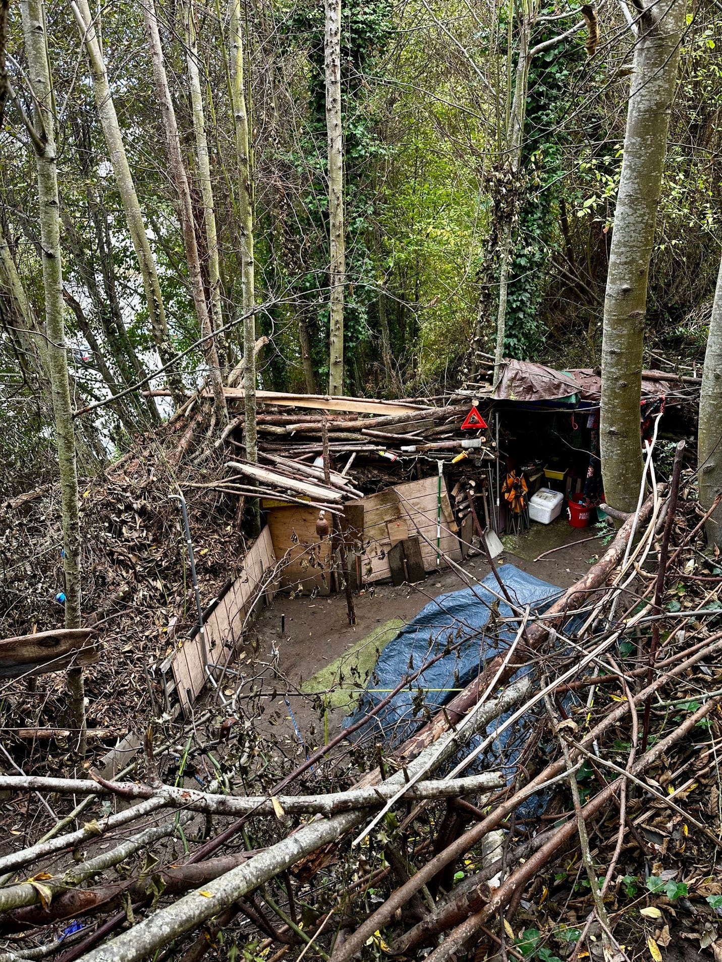 A small shack in the woods

Description automatically generated