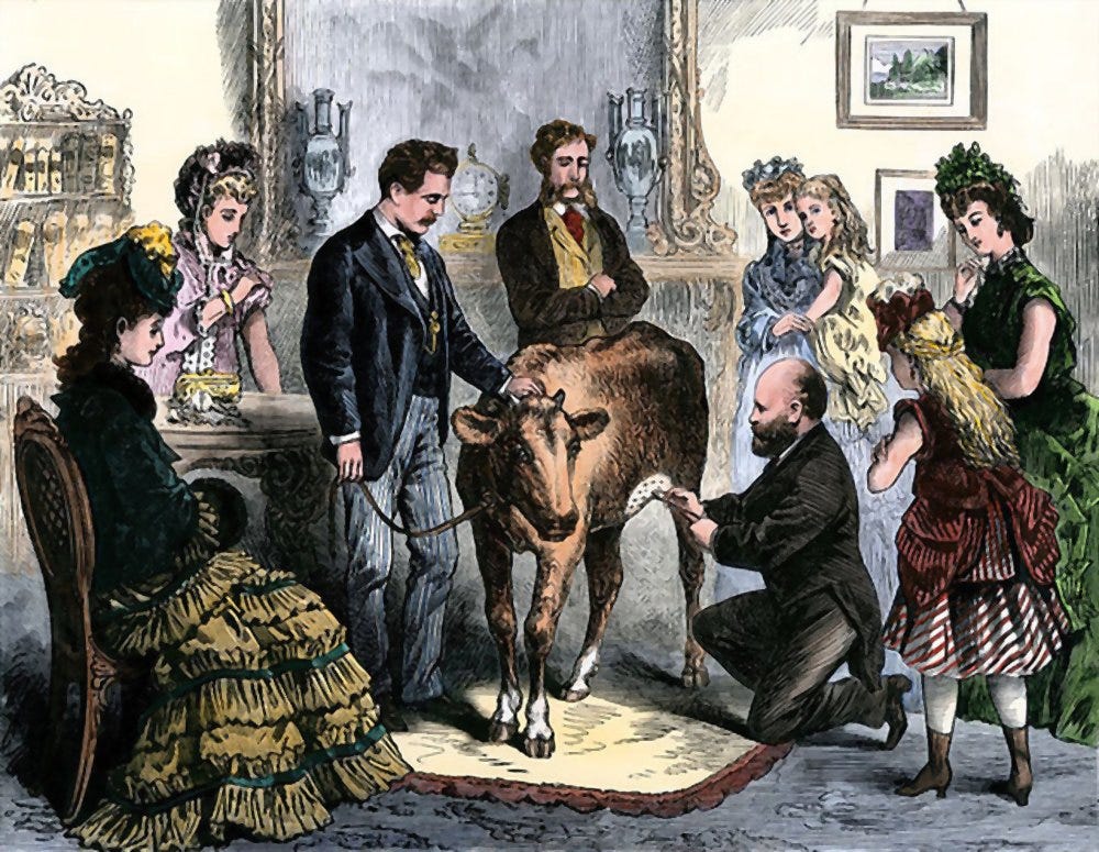Holy Cow and The Story of Origin of Vaccine That Ended Smallpox
