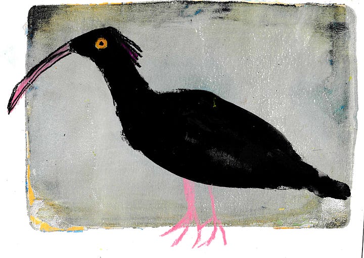 art from st. antonin noble val