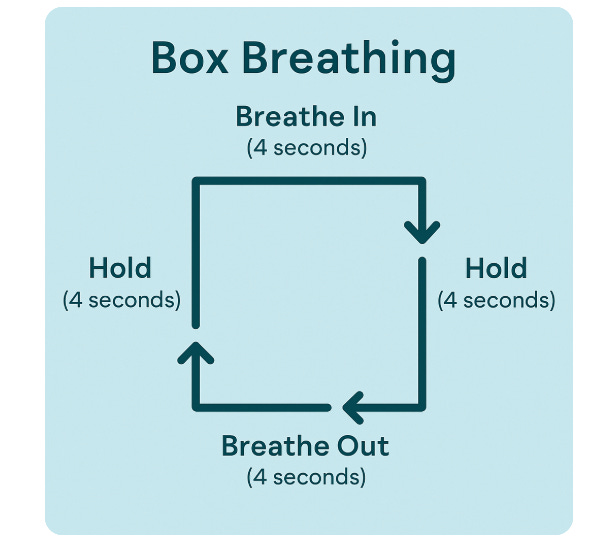 What Is Box Breathing? - Latinx Talk Therapy What Is Box Breathing? - Latinx Talk Therapy
