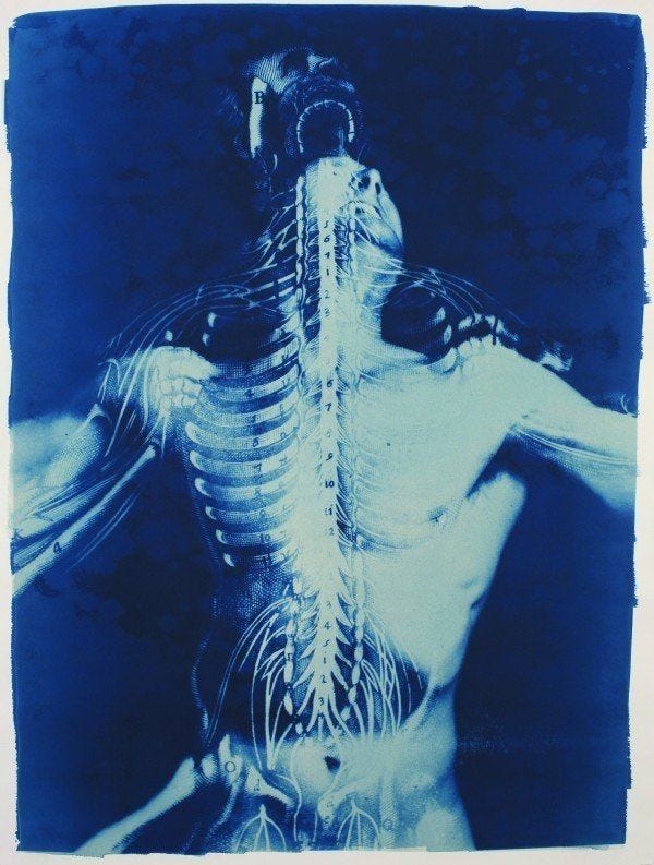 This may contain: an image of a man's back in blue and white with the skeleton visible This may contain: an image of a man's back in blue and white with the skeleton visible