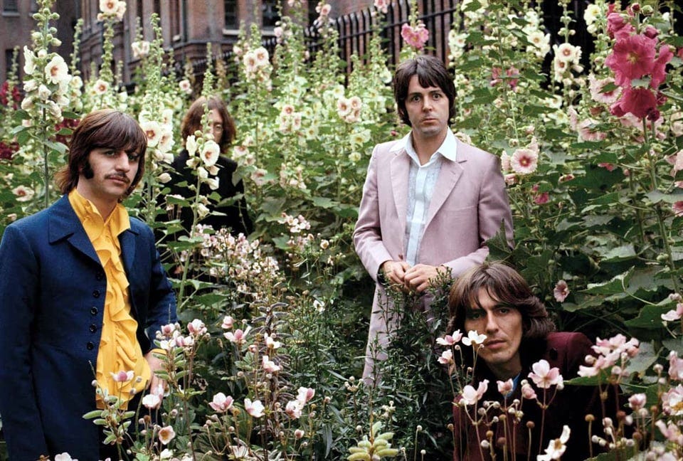 Flowers and Beatles : pics Flowers and Beatles : pics