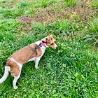 đŞˇThe Voice in Your Mind