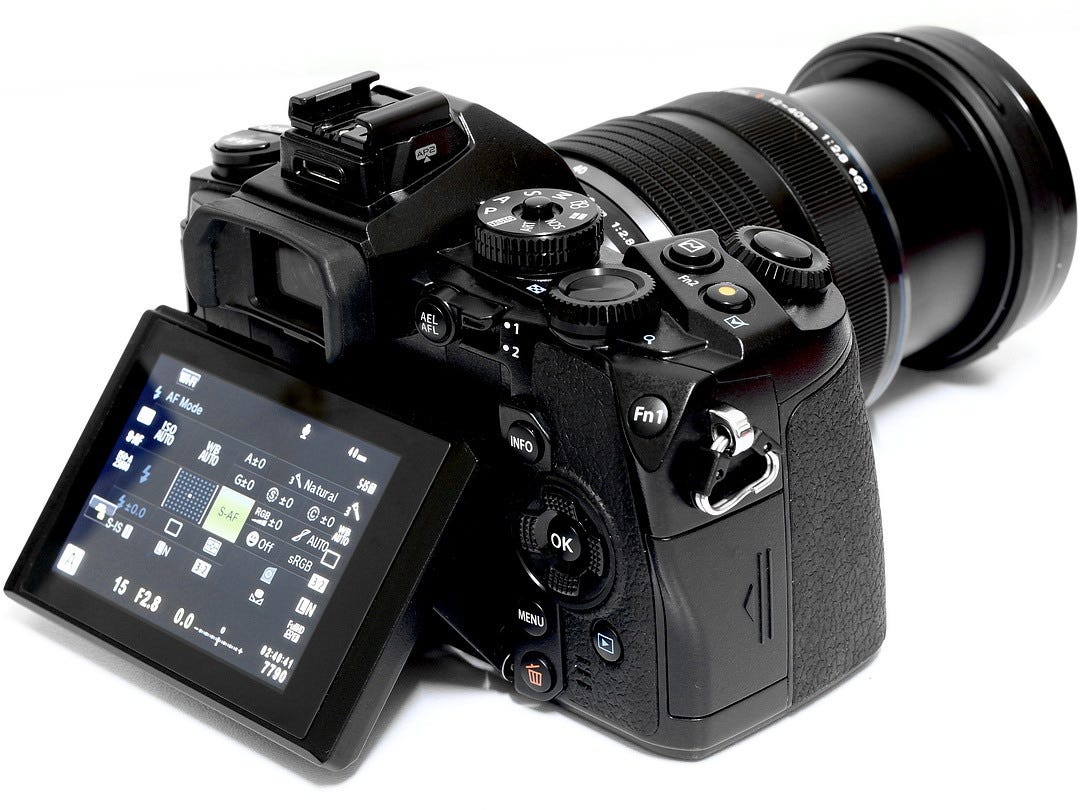 Tilt vs Articulating Camera Screens: Pros, Cons & Top Models