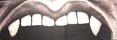 Sophia Adamowicz's hell mouth