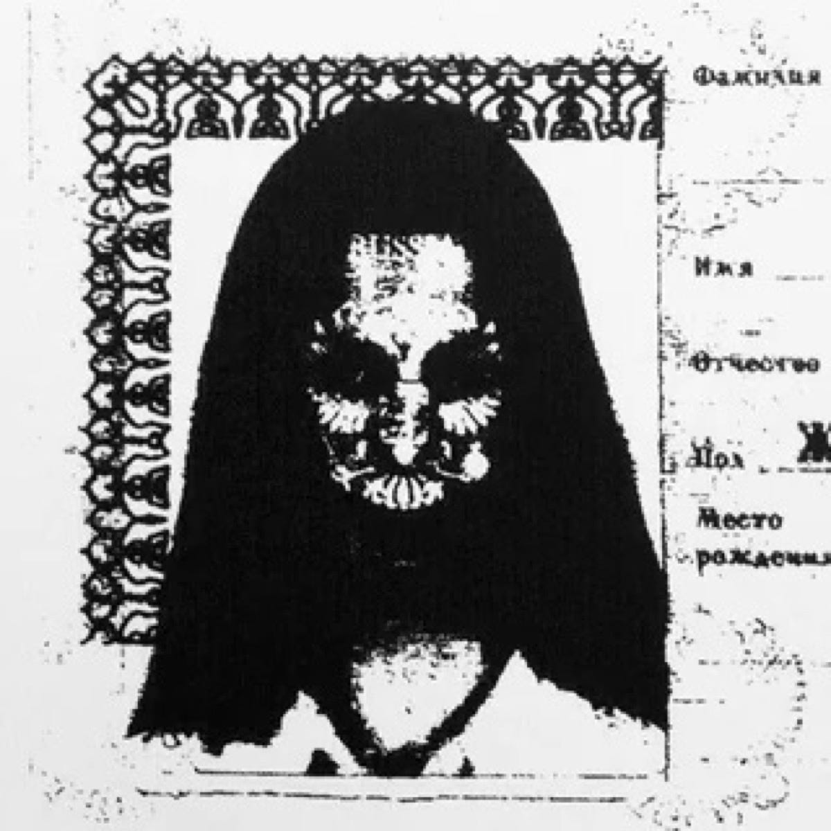 Russian passport photocopies look like analog horror nightmares