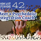 Ep. 42 | Psilocybin Integration Therapy and Self-Healing