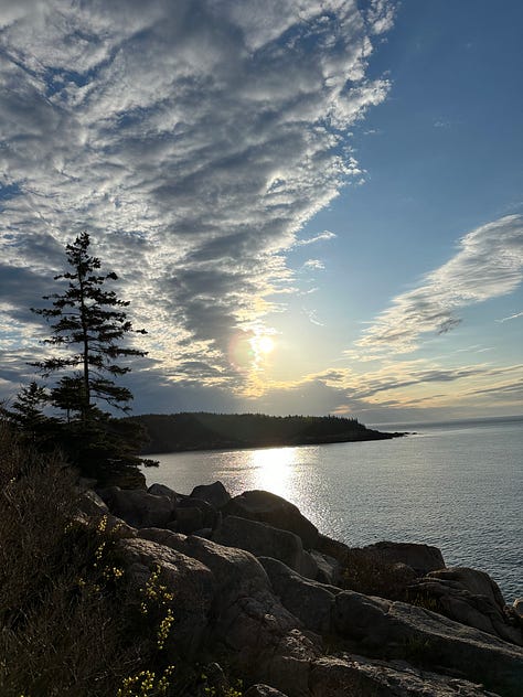 Photos of the campground, ocean, hiking, and dogs