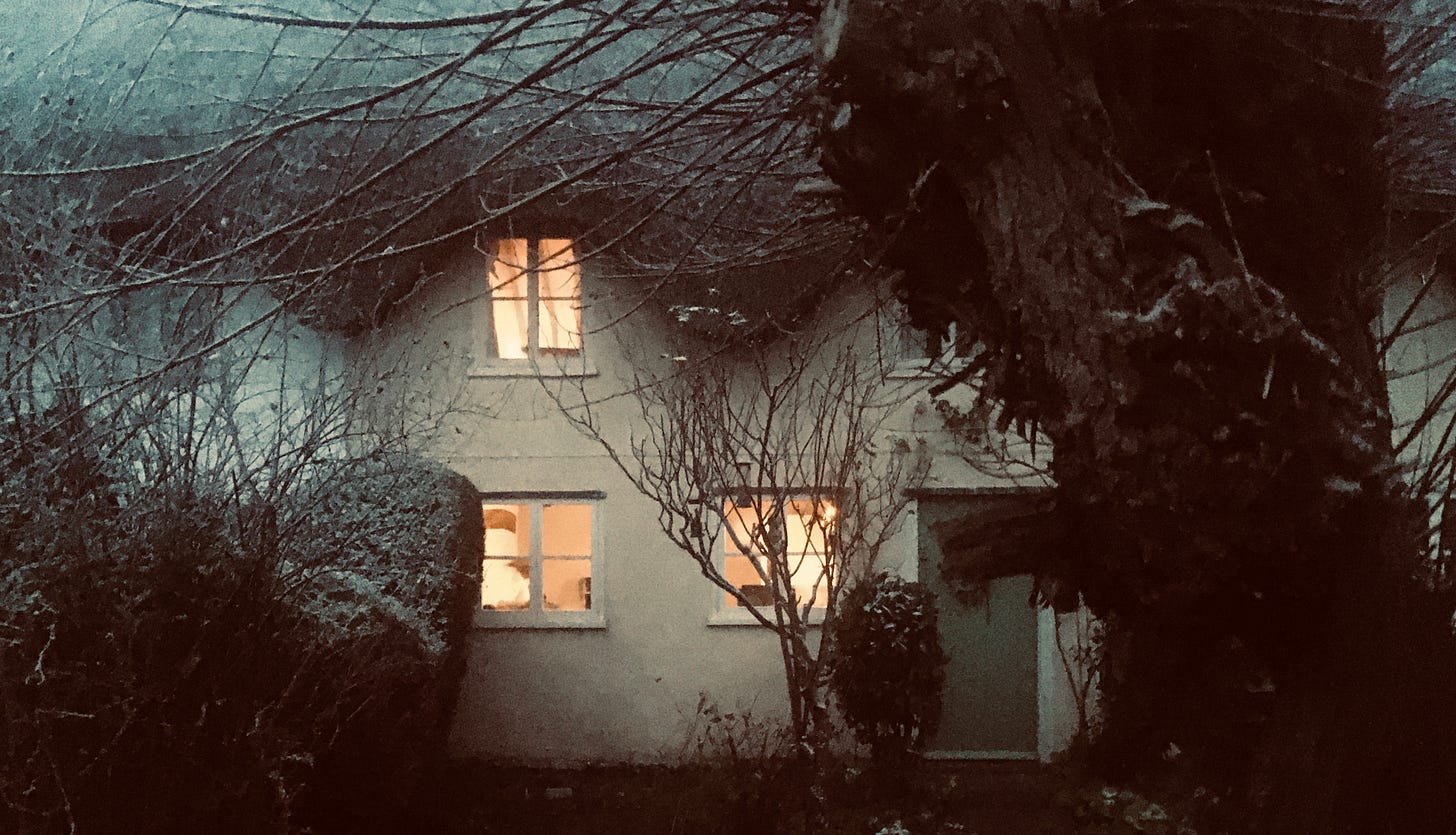 Windows lit orange in a house with thatch roof, surrounded by twigs and bushes