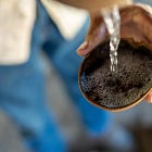 Raicilleros, Philosopher Kings (Part 4)