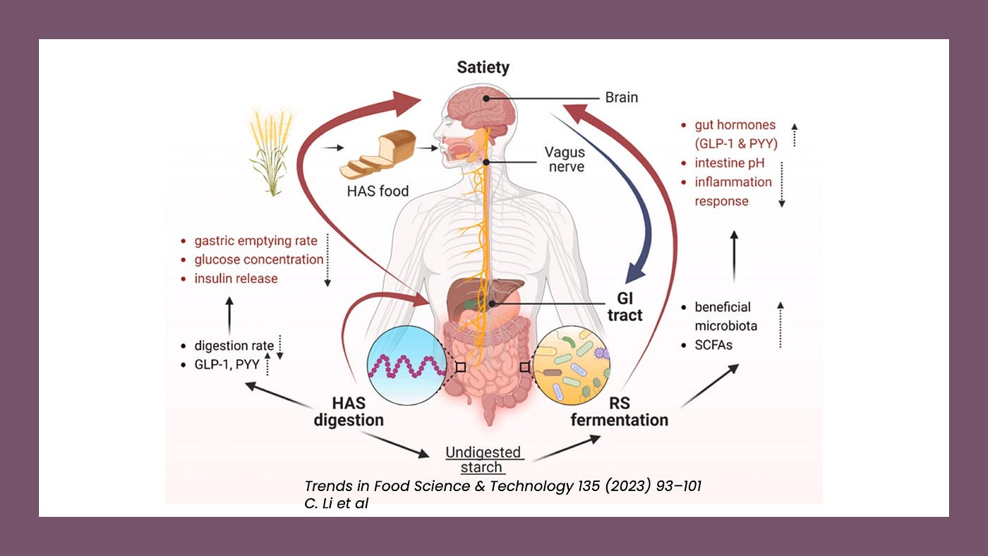 resistant starch glp 1 The 5 types of Resistant Starch