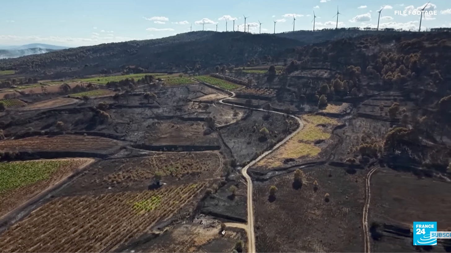 A low-angle aerial view of charred rural farmland. In the distance on a hill wind turbines bear mute testimony.