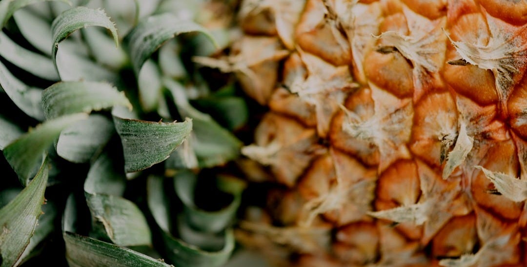 closeup photo of pineapple closeup photo of pineapple
