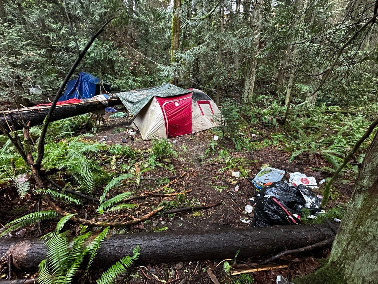 A tent in the woods

Description automatically generated