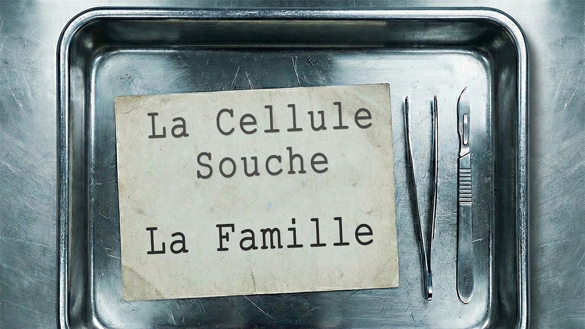 Famille fusionnelle - La culpabilité, seuil de la liberté