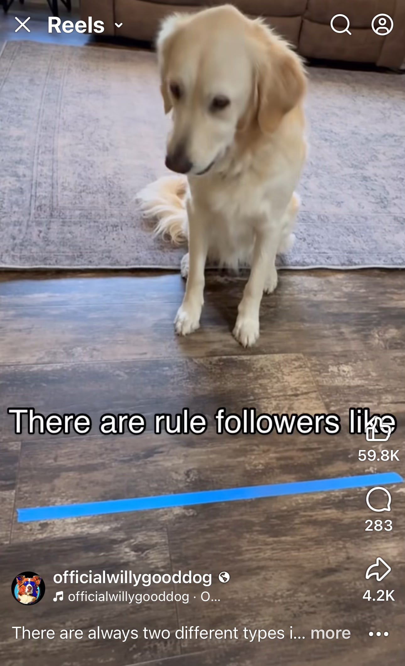 Image.heic Image.heic