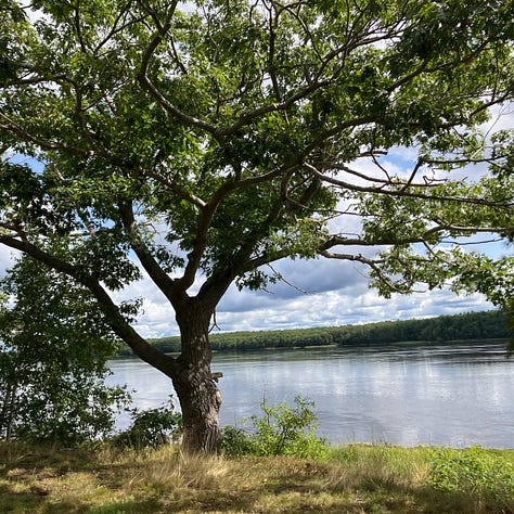 Kennebec river