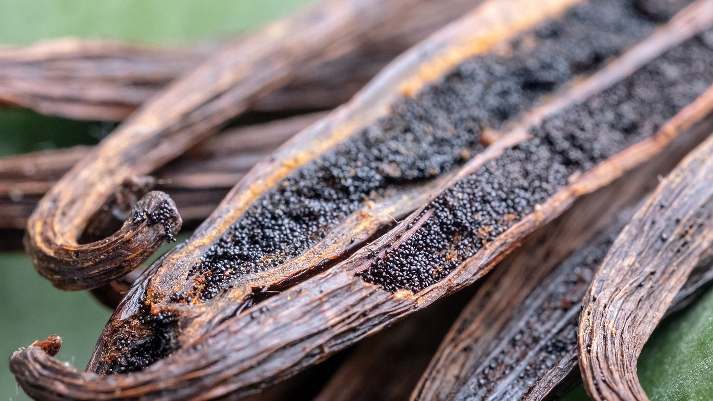 Why You Should Char Your Vanilla Pods