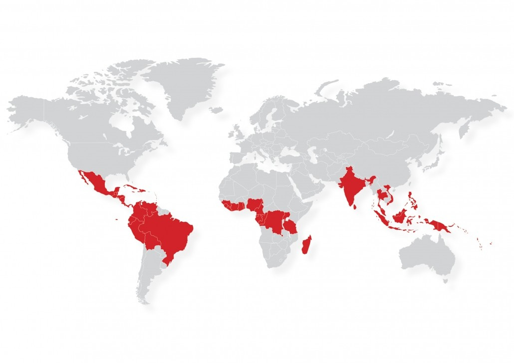 Growing Cocoa - International Cocoa Organization