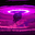 UltimateIsland's avatar