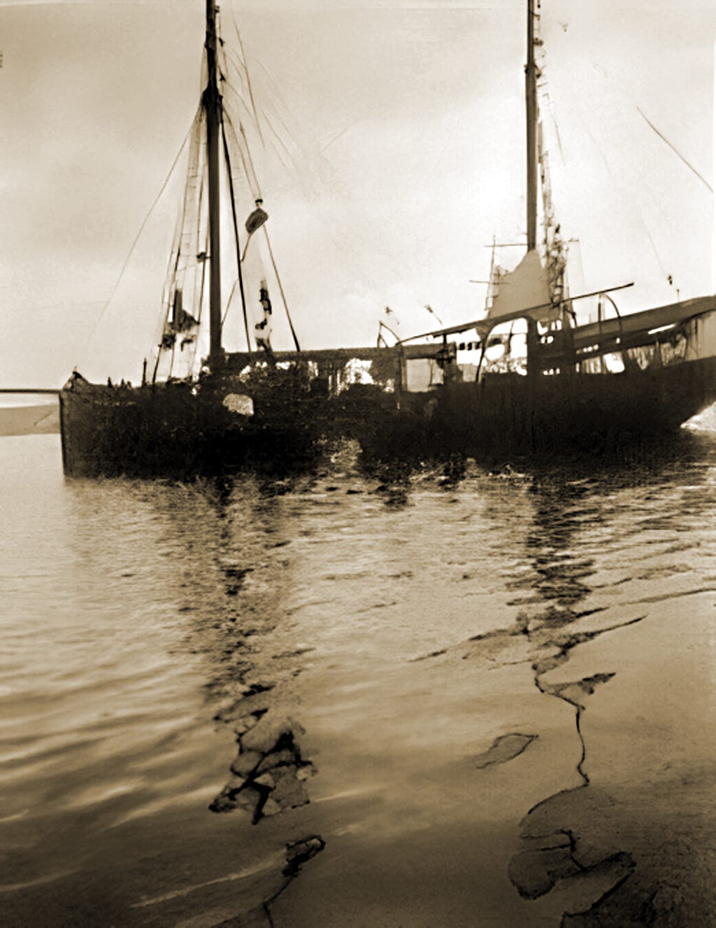 The Snowdrop, unused photograph