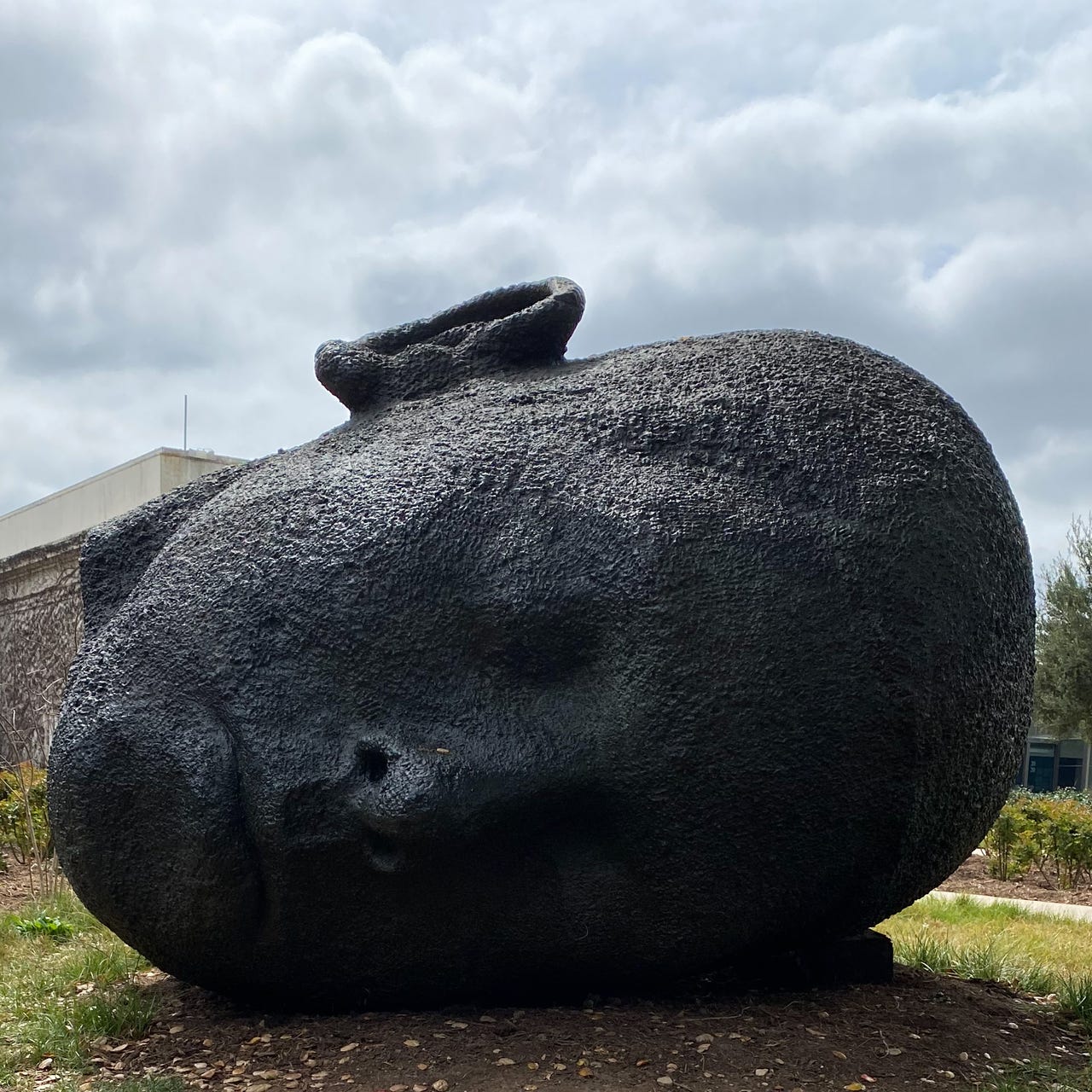 Artwork for the brain sitch