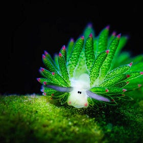 š Week #6: March Picks