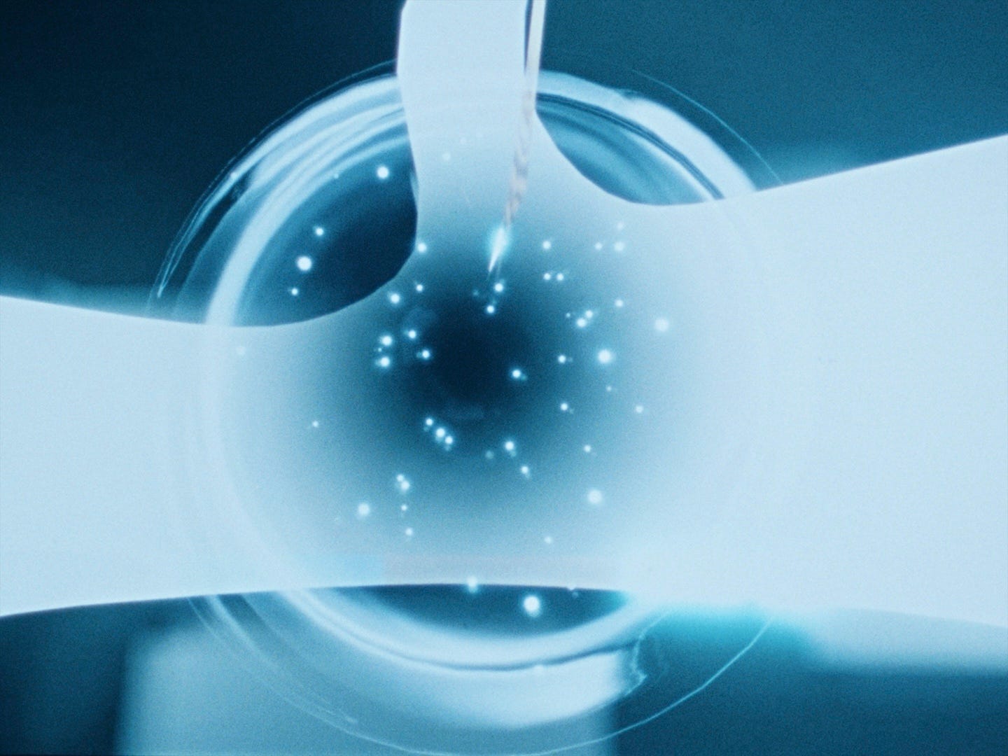 NYFF62_bluish_Still6.jpeg