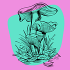 The Dark Truth About Wavy Cap Mushrooms (Psilocybe cyanescens)