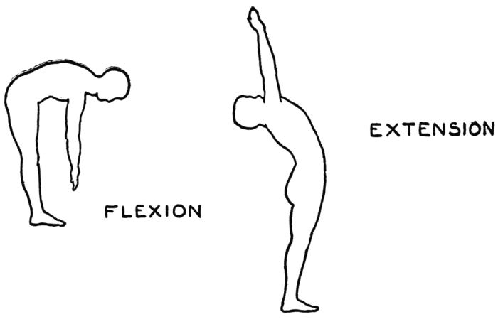 Breath and the Importance of it during movement - Part 1 — Radiant Pilates Breath and the Importance of it during movement - Part 1 — Radiant Pilates
