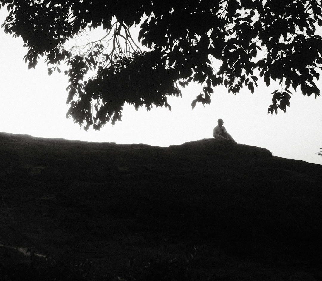 A person sitting on top of a hill under a tree