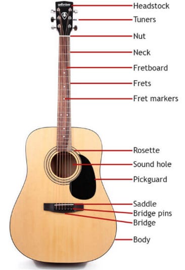 Nut 
Fretboard 
Frets 
Fret markers 
Sound hole 
Pickguard 
Saddle 
Bridge pins 
Bridge 