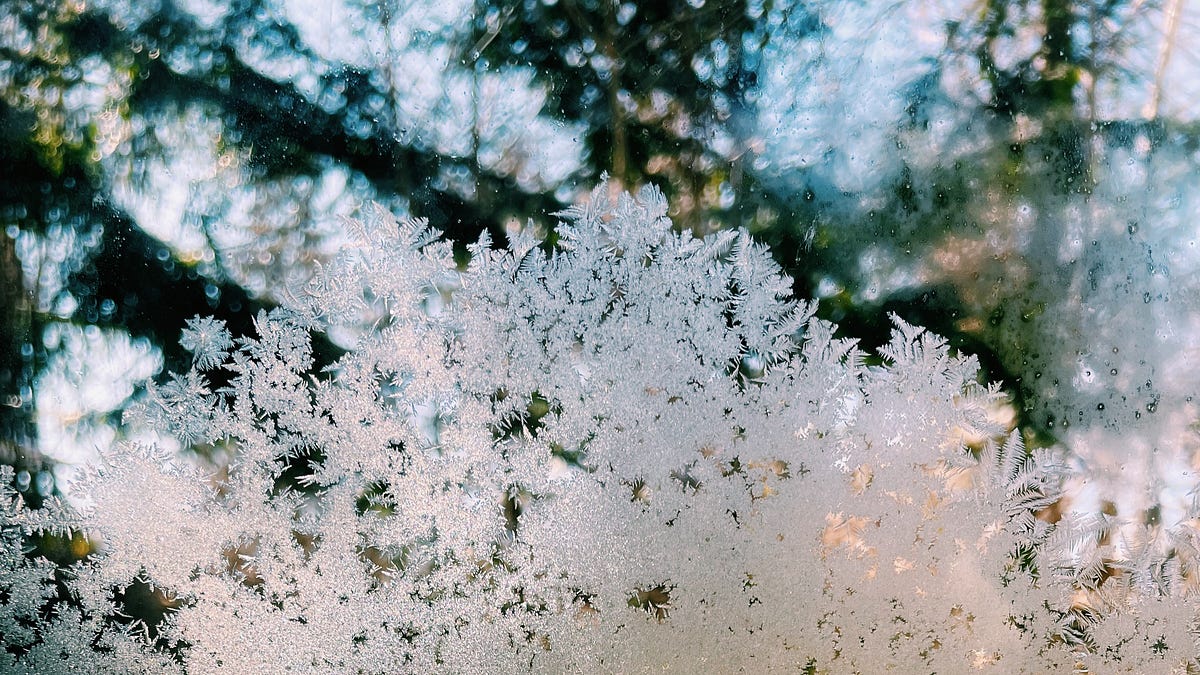 A Winter Home Refresh - by Sarah | Fewer & Better