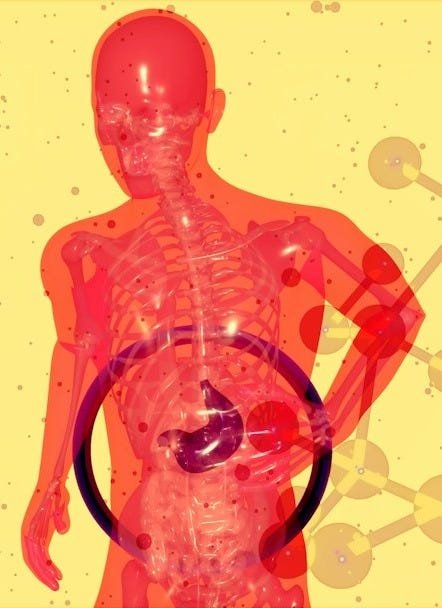 a picture of a human body with a diagram of the human body a picture of a human body with a diagram of the human body