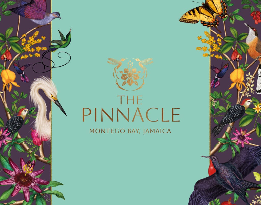 THE PINNACLE: A JAMAICAN ODYSSEY OF WINGS AND WONDER
