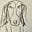 Leif Kent's avatar